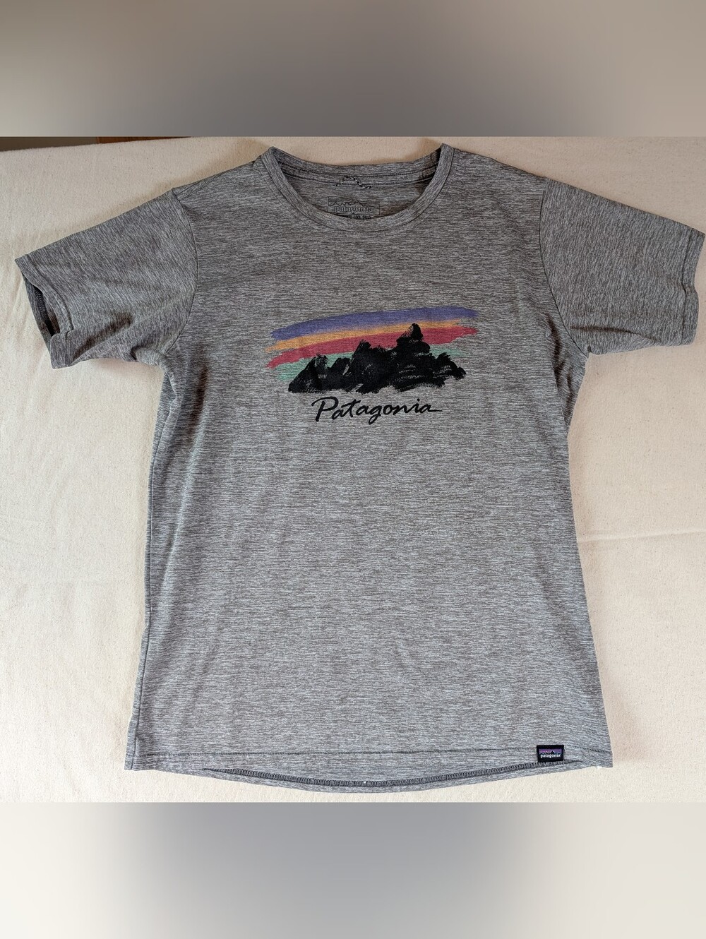 Patagonia Grey Tee with Multicolor Mountain Graphic